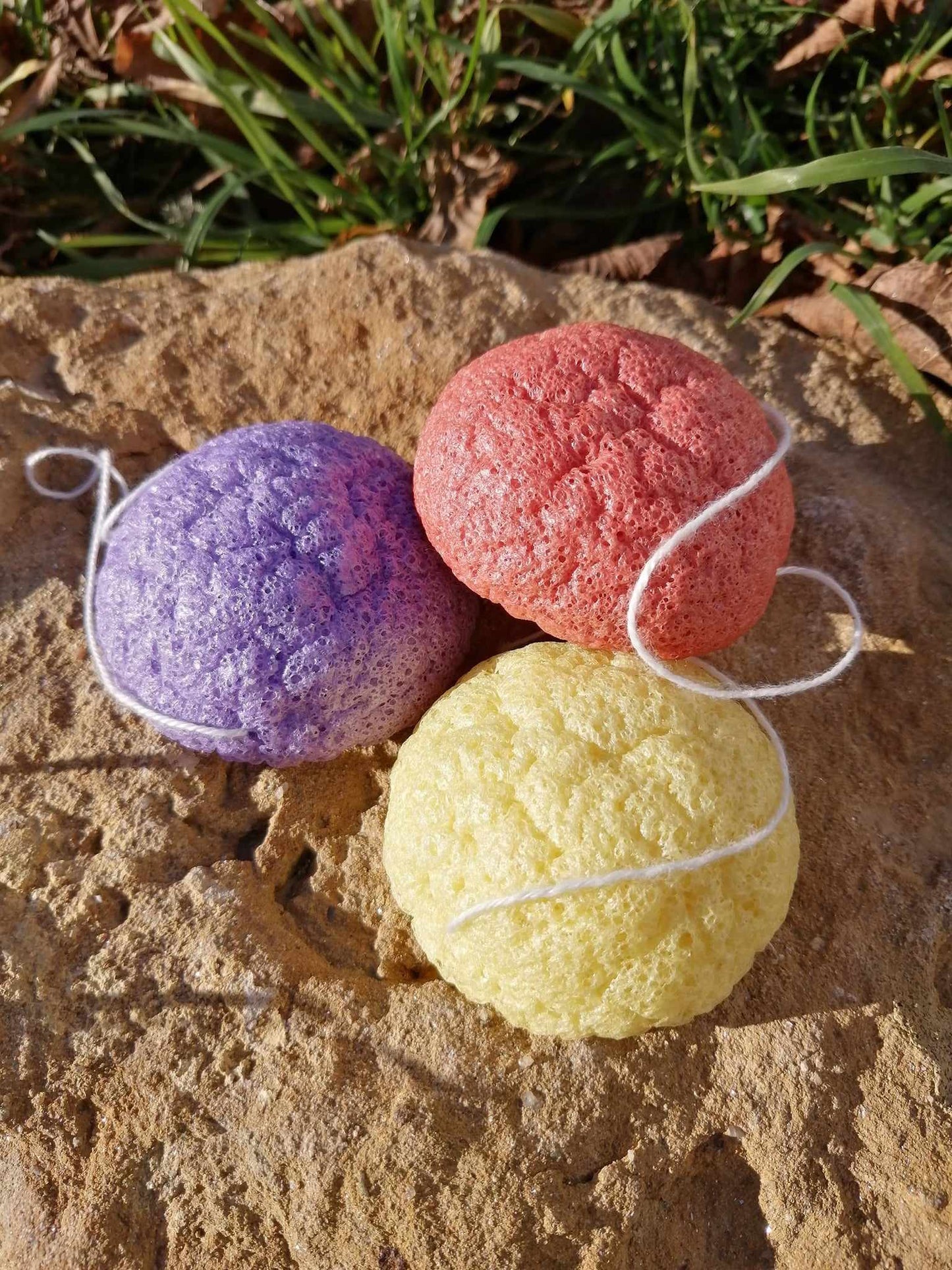 Eponges Konjac visage