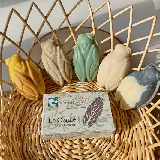 Savon Cigale